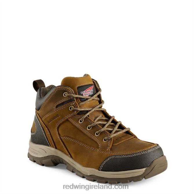 Work - Style 219 LoggerMax Men's 9-inch Insulated, Waterproof Soft Toe Logger Boot Red Wing 2N8V878 Brown